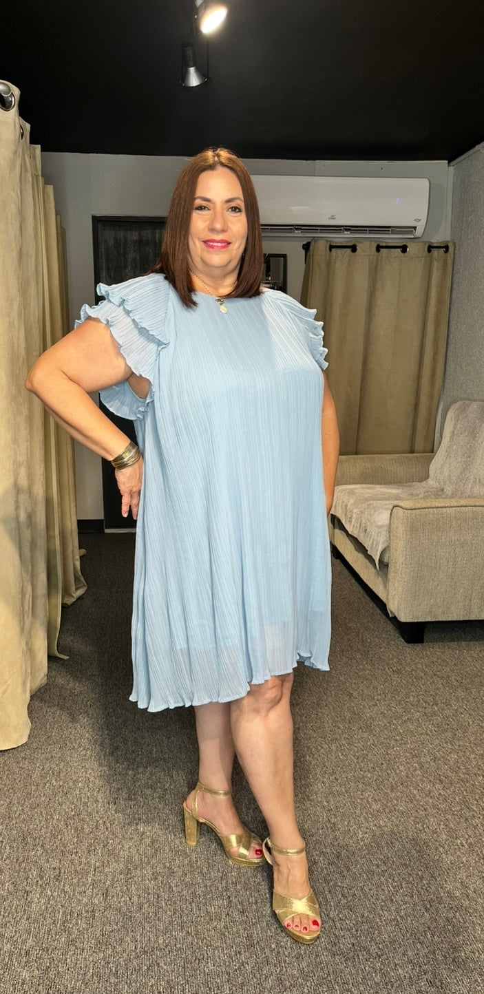 Ruffle Sleeves Dress