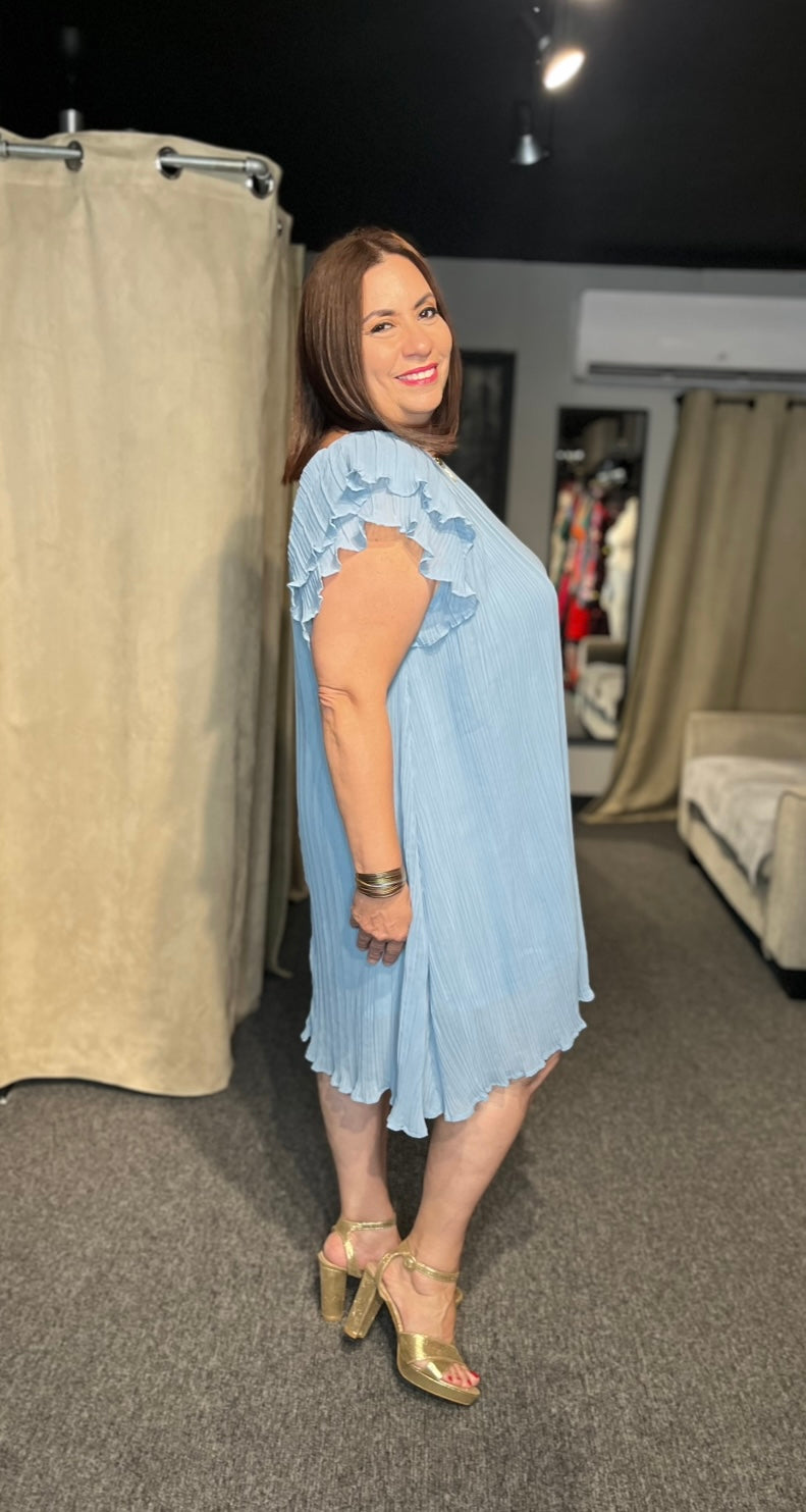 Ruffle Sleeves Dress