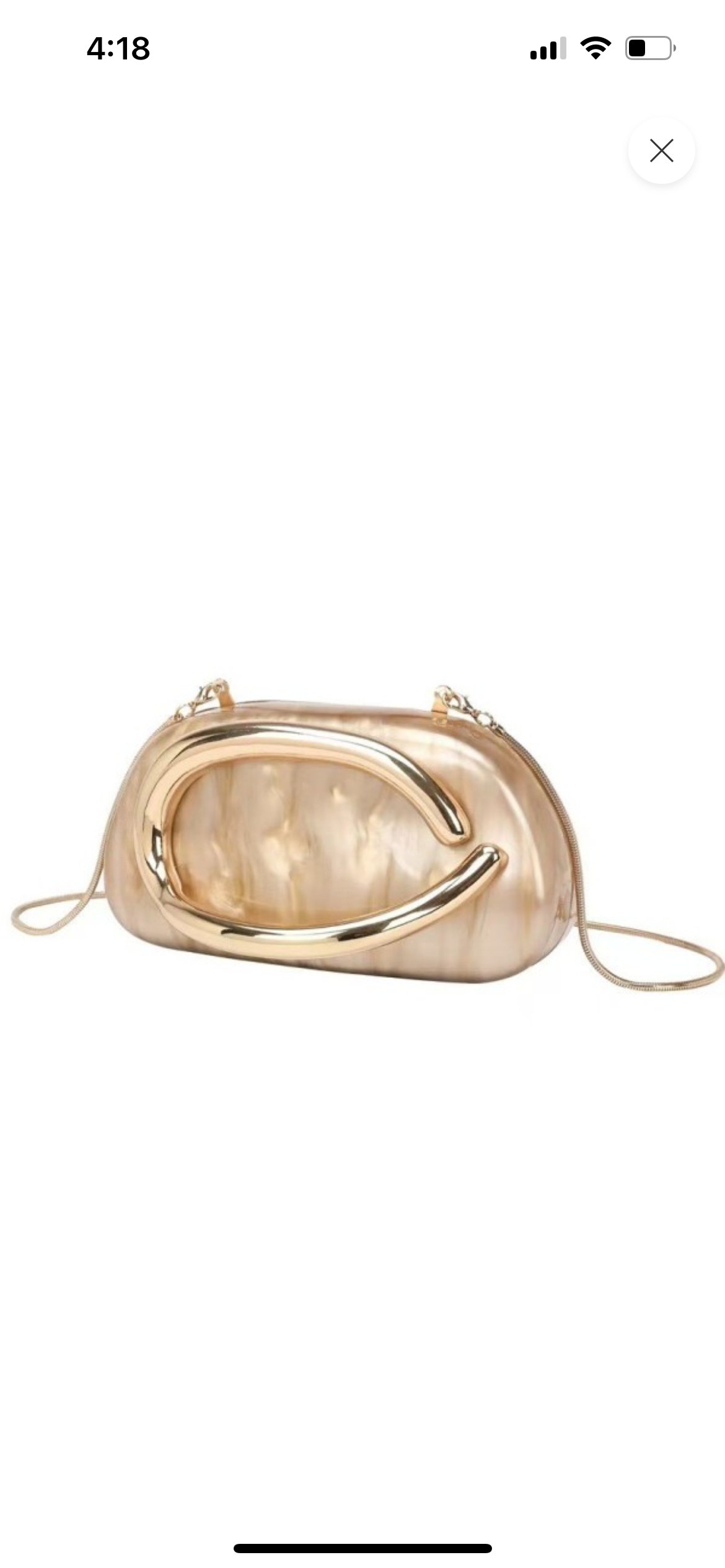 Acrylic Clutch Bag