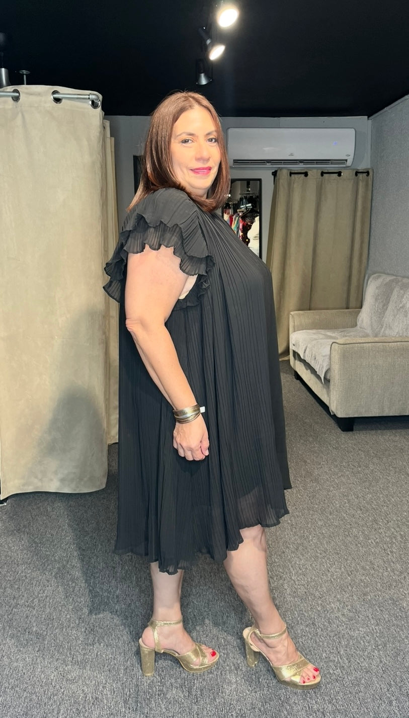 Ruffle Sleeves Dress