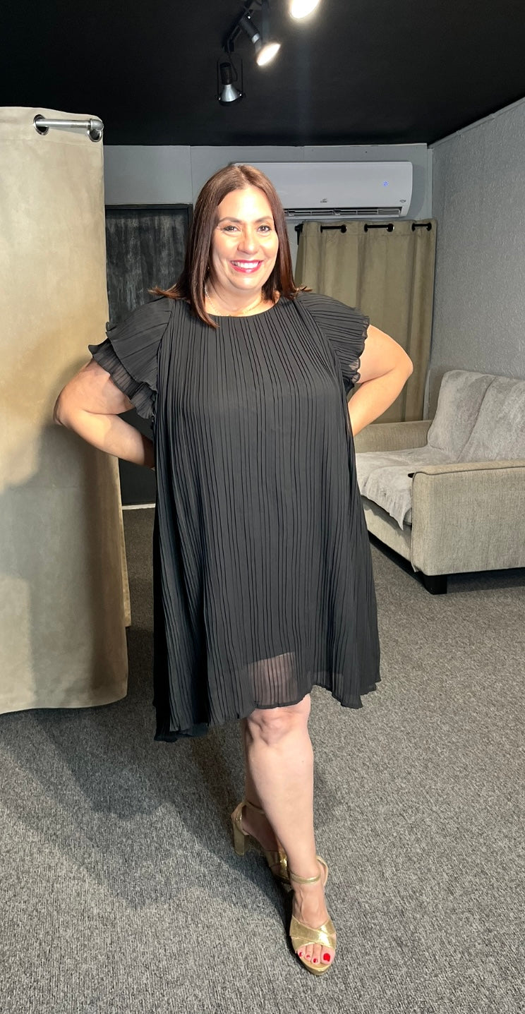Ruffle Sleeves Dress