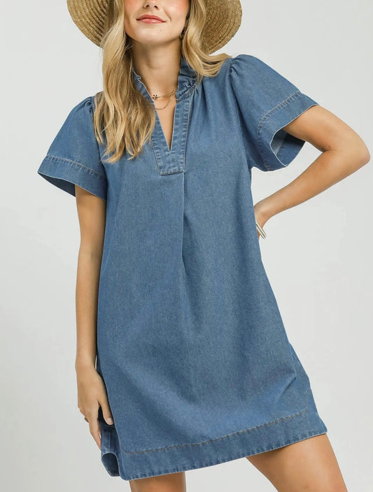 Chambray Mini Dress