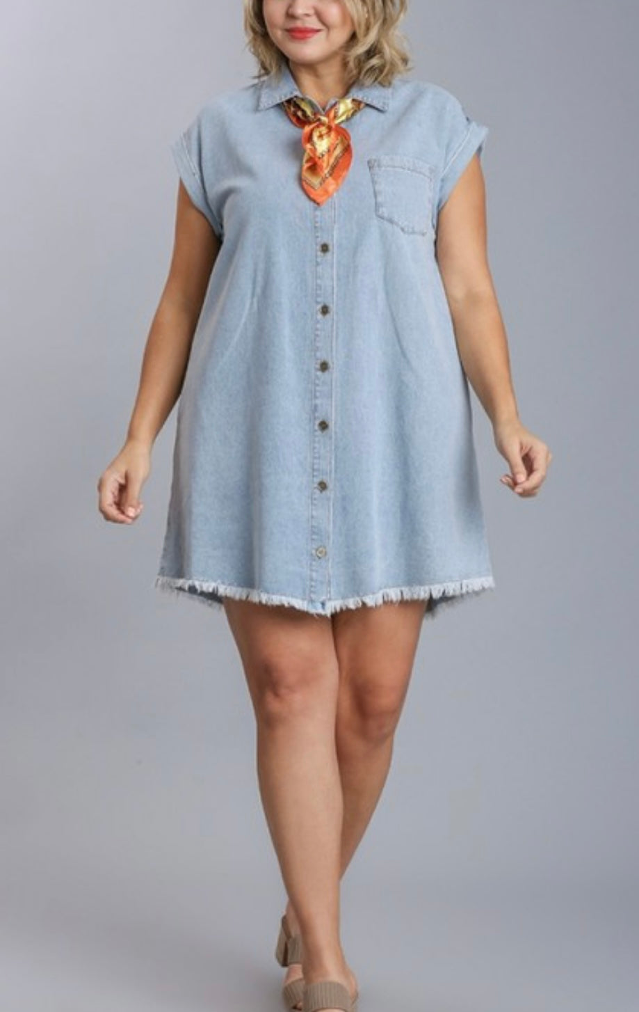 Button Down Denim Dress